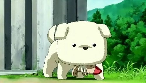 Potato is a cute anime dog from Air