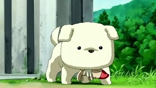 Top 20 Cute Anime Dogs 