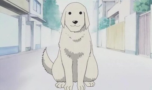 anime dog people