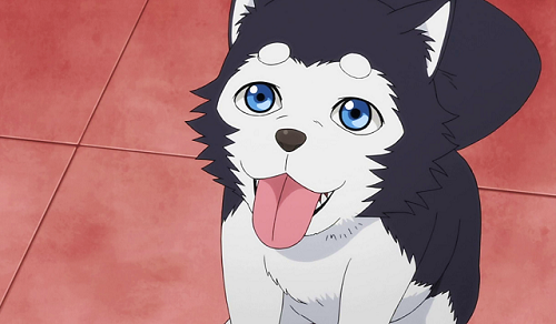 Top 20 Cute Anime Dogs 