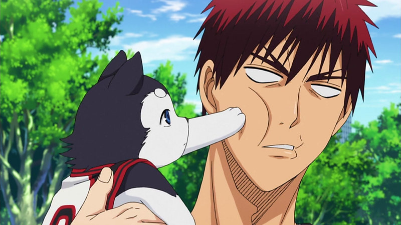 Top 20 Cute Anime Dogs