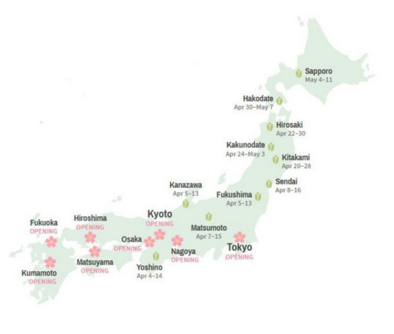 Cherry Blossom sakura map