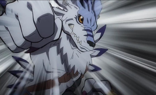 Top 15 Anime Wolf Characters Howling In The Night Myanimelist Net