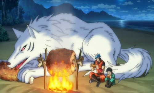 Toriko Terry Toriko Eating anime wolf anime wolves