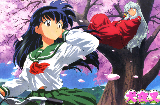 Inuyasha Kagome Higurashi, Uniform