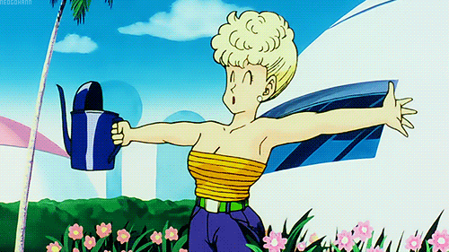 dragon ball z female characters hot