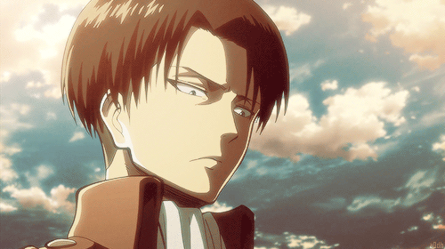 levi