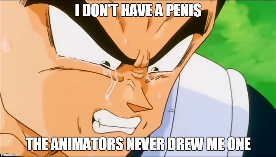 vegeta dragonball z meme