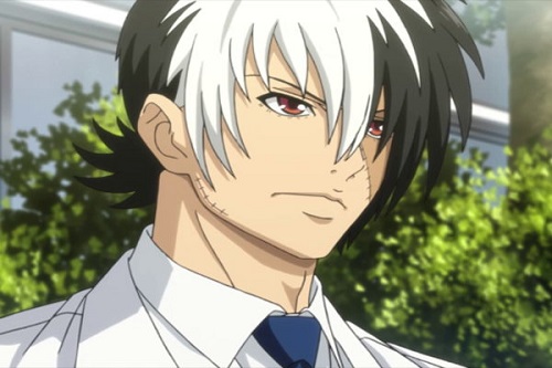 Anime Doctor, Kuroo Hazama, Black Jack (TV)