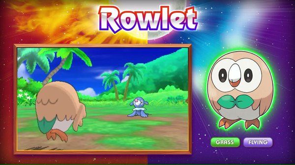 Pokemon Rowlet anime bird