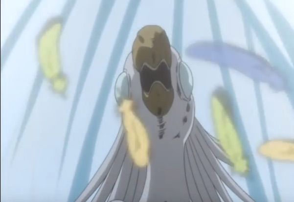 Fullmetal Alchemist Anime Bird