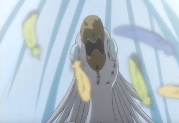 The 30 Best Bird Anime Characters