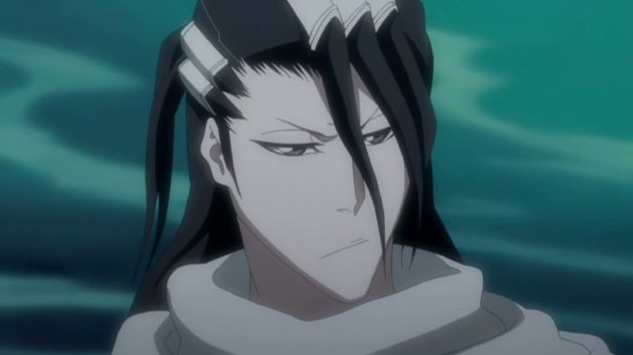 Bleach_Byakuya Kuchiki