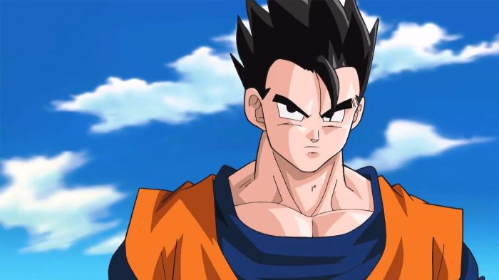 Dragon Ball Z_Gohan Son