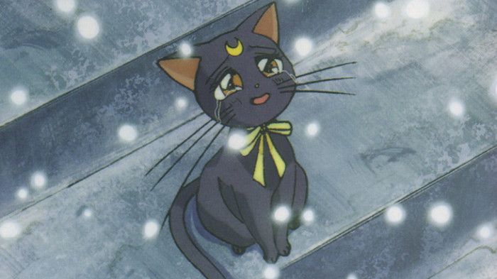 Luna Sailor Moon Anime Face