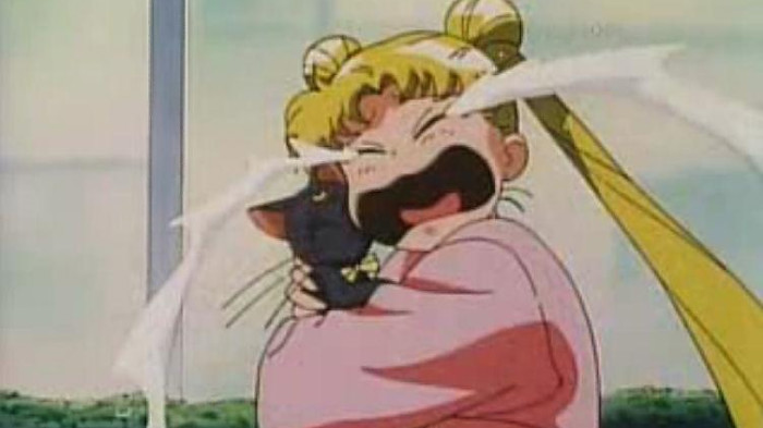 Usagi Tsukino Sailor Moon Anime Face