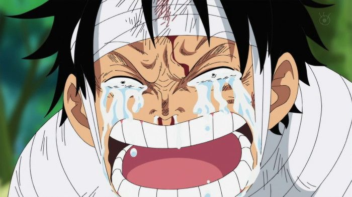 Luffy Monkey D One Piece Anime Face