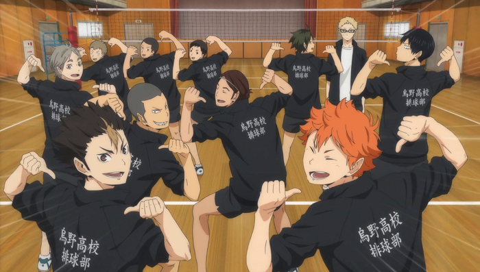 Haikyuu!! Karasuno High Volleyball Team