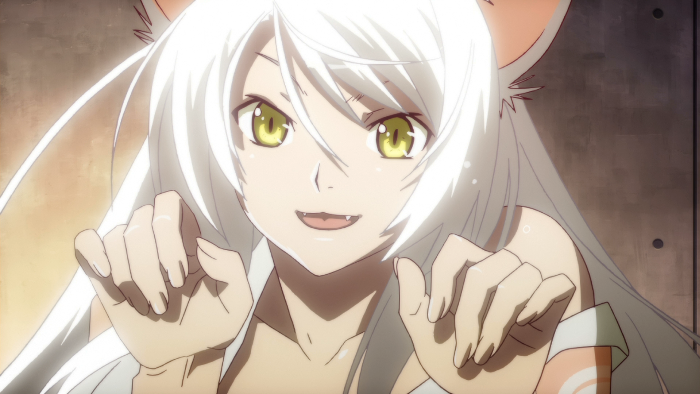 Tsubasa Hanekawa