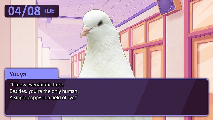 Hatoful Boyfriend