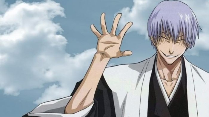 The Top 12 Strongest Bleach Characters