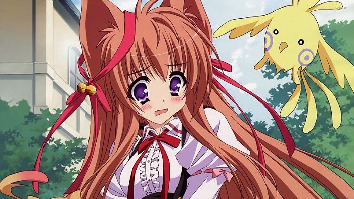 The 12 Cutest Anime Wolf Girls 