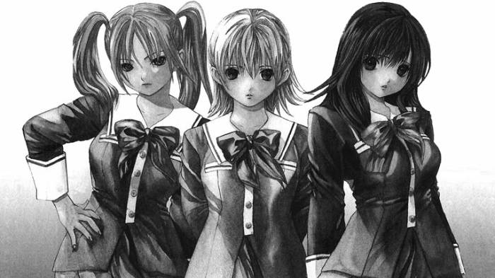 13 Best Harem Manga That Every Harem Fan Must Read! (December 2023 17) -  Anime Ukiyo