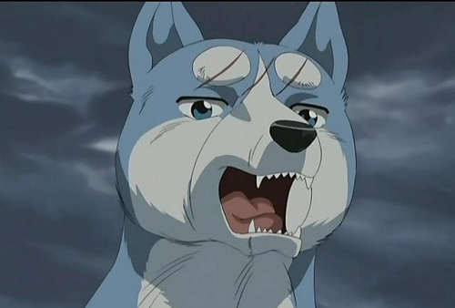 Top 20 Cute Anime Dogs - Gin - Ginga Nagareboshi Gin