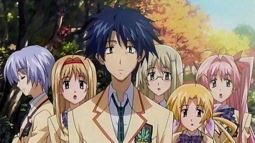 Top 20 Best Harem Anime: Surrounded by Sexy Girls 
