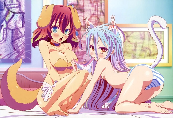 no game no life, shiro with cat ears