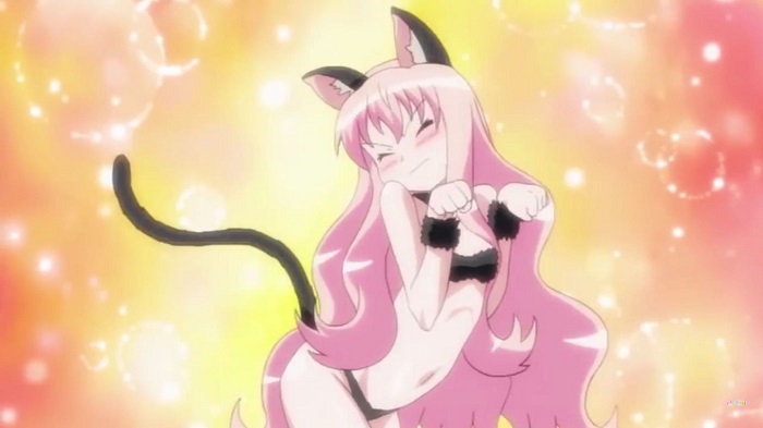 Louise Françoise Le Blanc de La Vallière wearing sexy cat outfit, Zero no Tsukaima: Futatsuki no Kishi