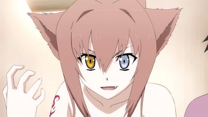The 12 Cutest Anime Wolf Girls 