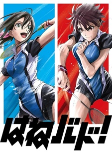 Badminton Manga Hanebado Receives Tv Anime Myanimelist Net