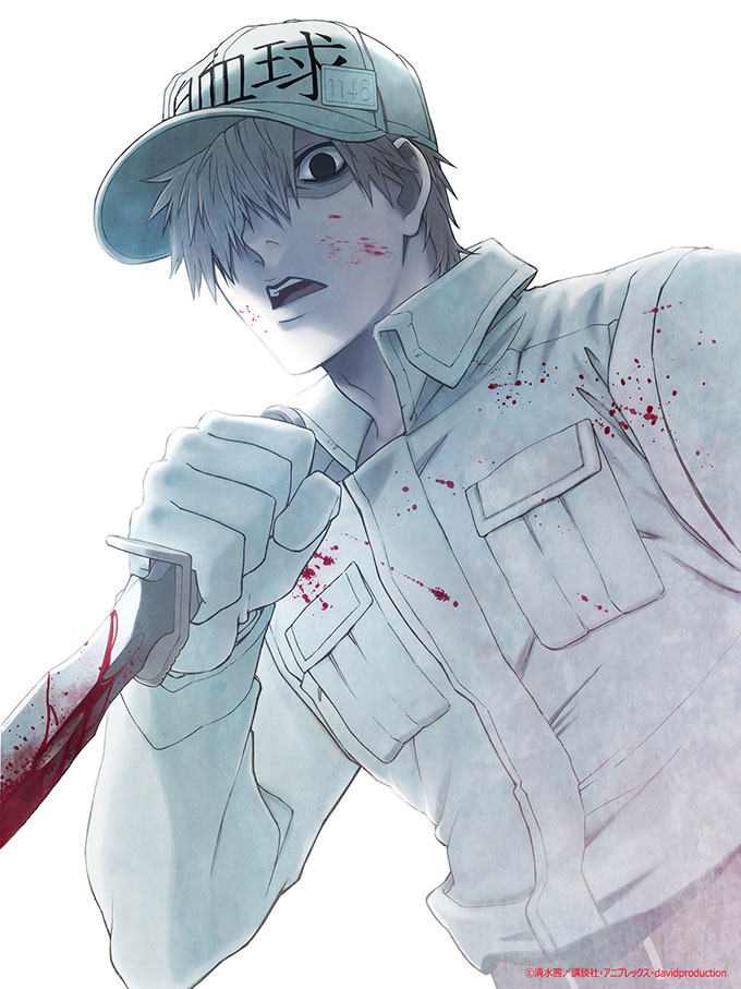 TV Anime 'Hataraku Saibou' Gets Anime Special