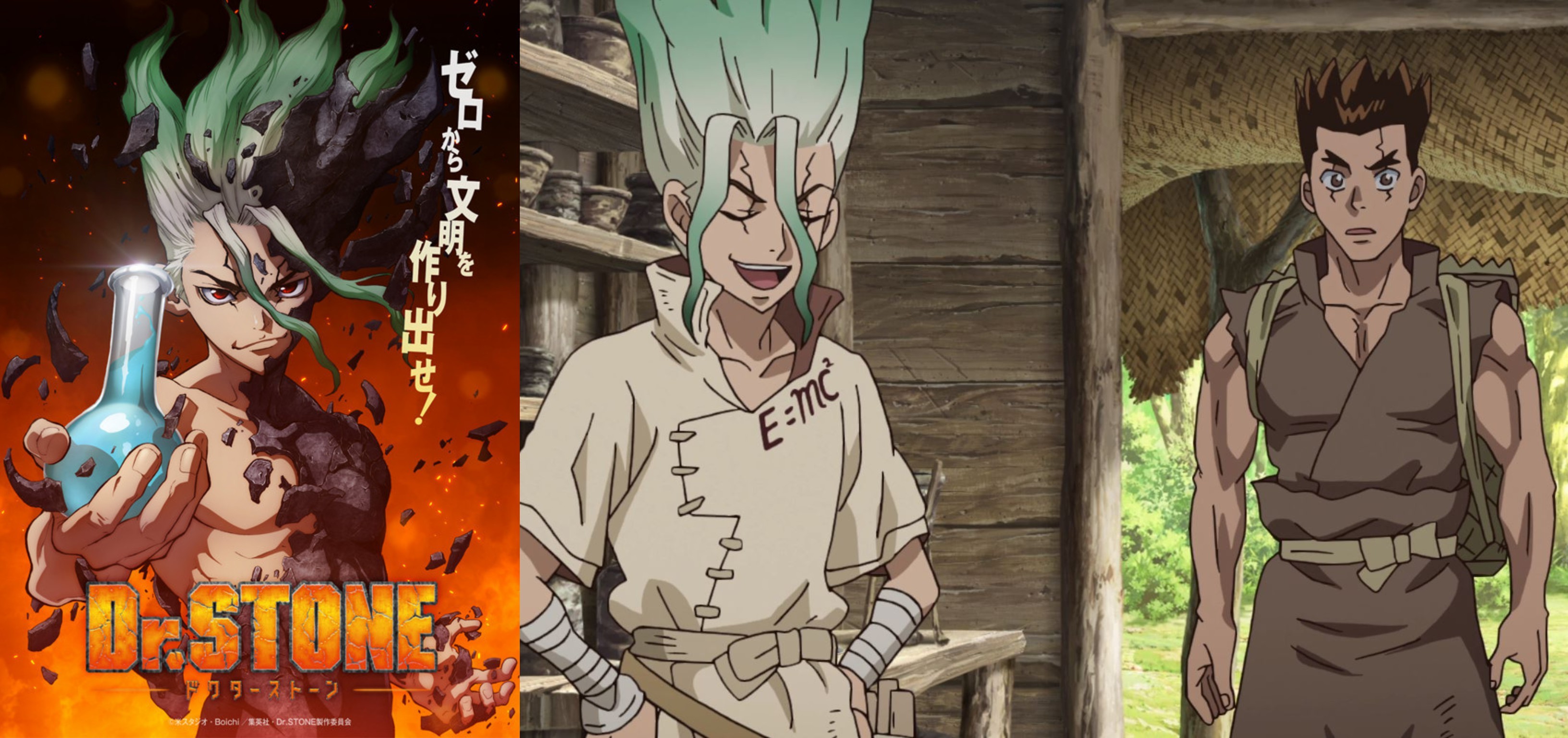 drstone