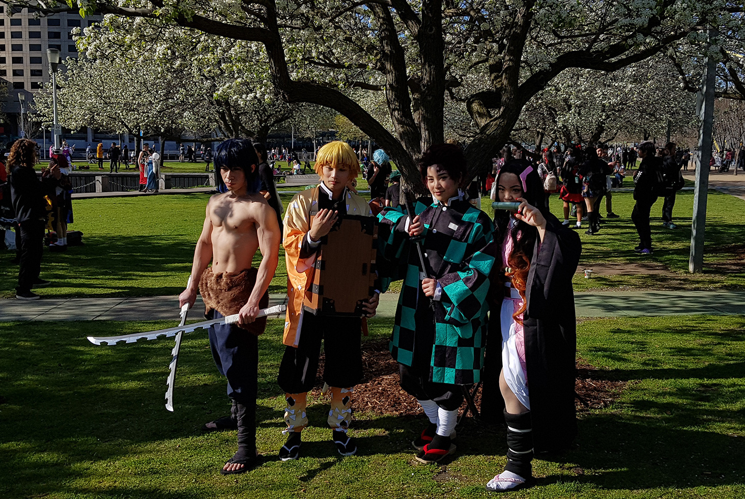 Cosplay Gallery Madman Anime Festival Melbourne 2019