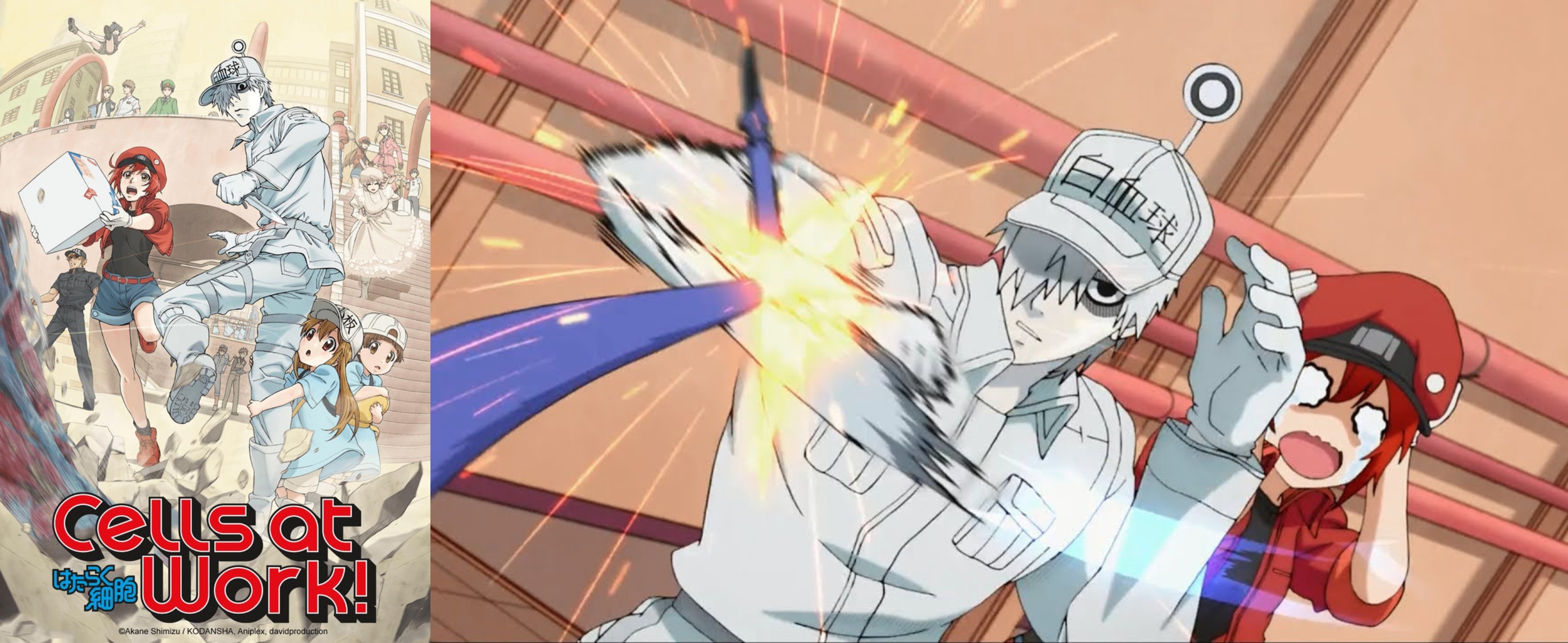 10 Edutainment Anime That Make Learning Fun