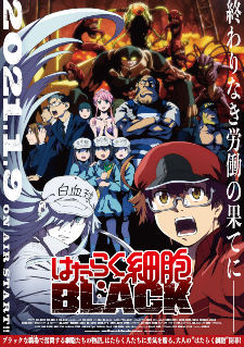 'Hataraku Saibou Black' Reveals Additional Cast, Second Promo