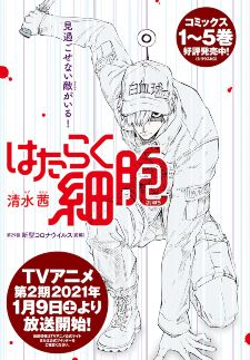 Hataraku saibou WHITE 2 Japanese comic manga anime Cells at Work