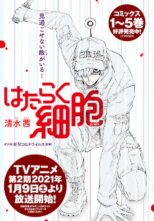 Hataraku Saibou Black (2018) n° 8/Kodansha