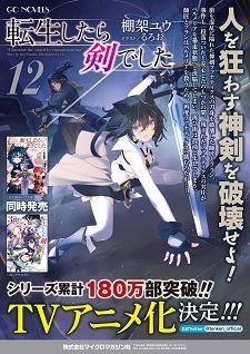 Tensei shitara ken deshita Another Wish 2 comic manga anime Japanese Book