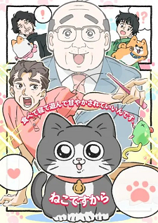 'Neko ni Tensei shita Ojisan' Announces Main Cast