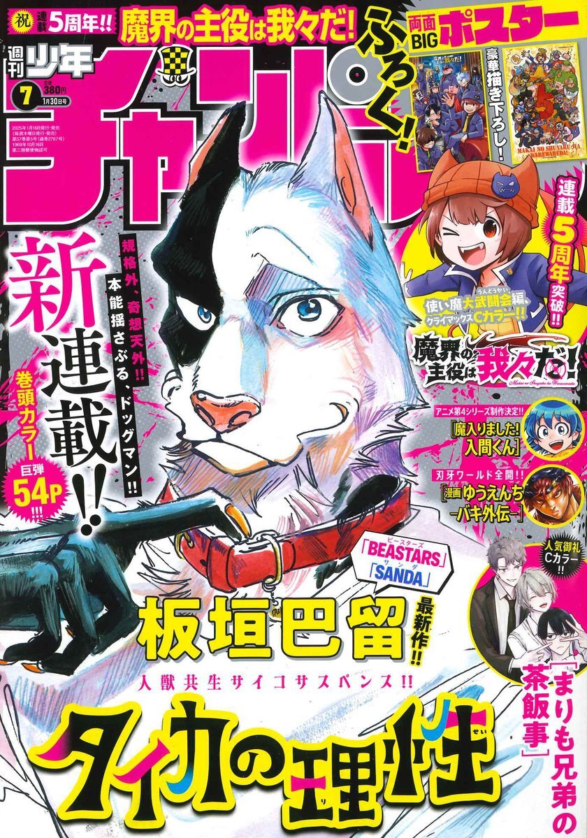 'Beastars' Creator Paru Itagaki Launches 'Taika no Risei' Manga