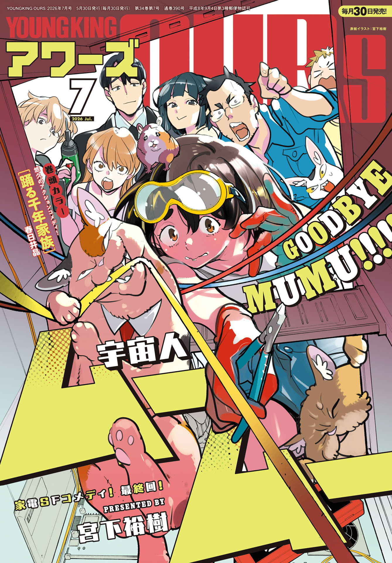 Link Preview Image