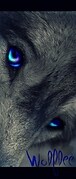 wolflee