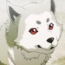 BestDogeKoromaru