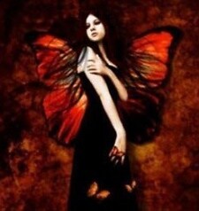 flamedbutterfly