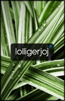 lolligerjoj