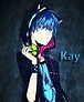 Kay06