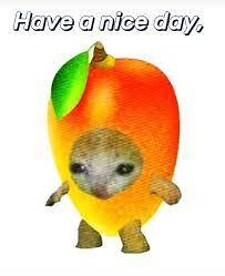 MangoWave